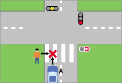 自動車対歩行者の場合3